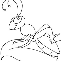 Terrific Insects Coloring Pages Animals Print Color Cl