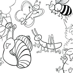 Insect Coloring Pages At Free Printable Bug