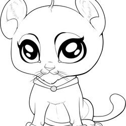 Brilliant Inspiration Image Of Cute Animal Coloring Pages Kids Animals Draw Baby Cartoon Drawing Drawings