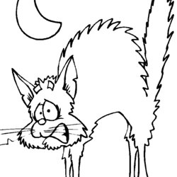 Great Kitty Cat Coloring Pages Home