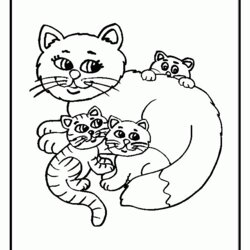 Cat Coloring Pages Printable Home