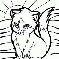 Spiffing Free Kitty Cat Coloring Pages Download Printable Color Realistic Library