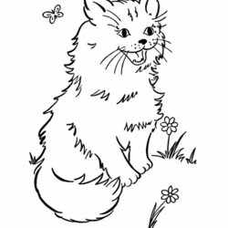 Perfect Free Printable Cat Coloring Pages For Kids Kitten Cute Animal Sheets Garden Cats Kitty Print