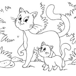 Free Printable Cat Coloring Pages For Kids Cats Of