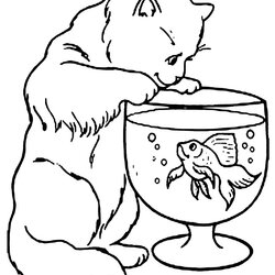 Swell Cat Coloring Page Pictures Animal Place Pages Printable Kids