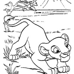 Worthy Free Printable Coloring Pages For Kids Lion King Baby Cub Library Popular