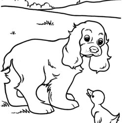 Marvelous Printable Coloring Pages Kids Puppy Kid Color Print Sheets Dog Colouring Duck Paint Spaniel