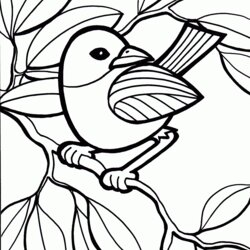 Splendid Printable Coloring Pages Print Kids Color Bird Colouring Sheet Book Hard Free
