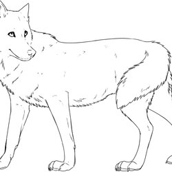 Peerless Free Printable Wolf Coloring Pages For Kids Wolves Baby Realistic Print Pack Gray Cute Animals