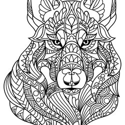 Matchless Wolf Kids Coloring Pages Print Animals For