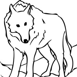 Free Printable Wolf Coloring Pages For Kids Animal Place Wolves Of Images