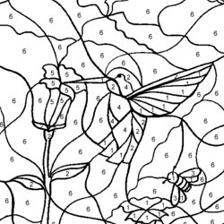 Smashing Color By The Number Printable Free Coloring Pages Numbers Hummingbird Younger Learn