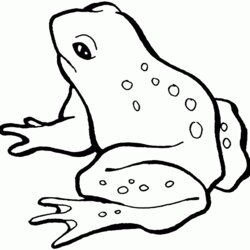 Magnificent Free Printable Frog Coloring Pages For Kids Frogs Page