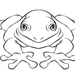Superlative Print Download Frog Coloring Pages Theme For Kids Jumping