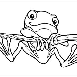 Superb Free Frog Drawing To Download And Color Frogs Kids Coloring Pages Cute Printable Children For