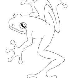 Excellent Best Images About Frogs Coloring Pages On Frog Printable Sheets Tree Drawing