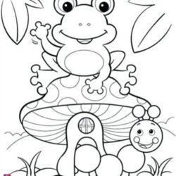Terrific Free Printable Frog Coloring Pages Toad Insect Toads Page