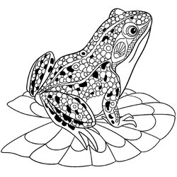 Perfect Cute Frog Coloring Sheets Activity Color Sheet For Adult
