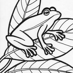Free Printable Frog Coloring Pages For Kids Amphibian Print Tree Book Related Item Sideways Snake Popular