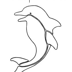 Magnificent Swiss Blue Coloring Pages Dolphin