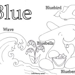 Worthy Coloring Pages Little Bunny Series Blue