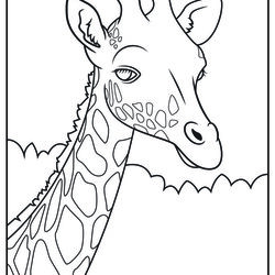 Legit Realistic Animal Coloring Pages Zoo