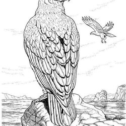 Wizard Adult Animal Coloring Pages Home Realistic Comments