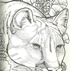 Superb Realistic Animal Coloring Pages Printable