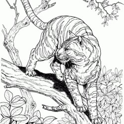 Very Good Jungle Animals Coloring Pages Free Home Animal Popular Realistic
