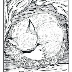 Capital Realistic Wild Animal Coloring Pages At Free Download Animals