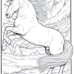 Realistic Animal Coloring Pages At Free Printable Print