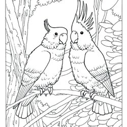 Marvelous Free Printable Realistic Animal Coloring Pages At Tropical Bird Birds Animals Prey Desert Color