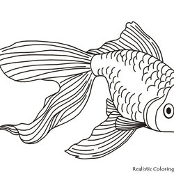 Matchless Printable Realistic Animal Coloring Pages At Free Color Print