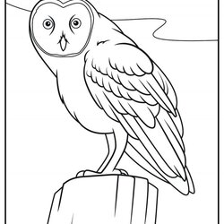 Great Realistic Animals Coloring Pages Free