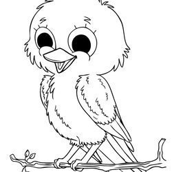 Baby Animal Coloring Pages Realistic Animals Cute Bird Printable Sheets Kids Color Girls Young Birds Babies