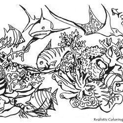 Swell Realistic Animals Drawing At Free Download Coloring Pages