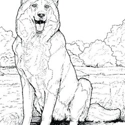 Printable Realistic Animal Coloring Pages At Free Husky Dog Alaskan Malamute Siberian Puppy Puppies Dogs Kids
