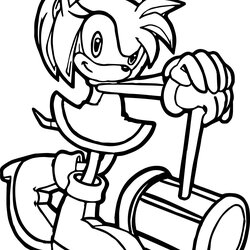 Cool Sonic And Amy Coloring Pages At Free Printable Color Boom Print Girls