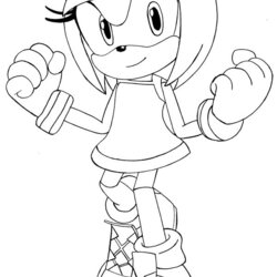 Very Good Amy The Hedgehog Pages Coloring Rose From Sonic By