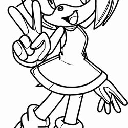 Swell Sonic Amy Coloring Pages