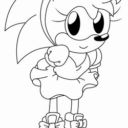 Sonic And Amy Coloring Pages At Free Printable Classic Boom Hedgehog Print Rose Color Shadow Template
