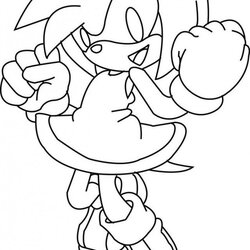 Worthy Free Sonic Coloring Book Download Images Amy Rose Library