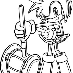 Admirable Amy Sonic Coloring Pages At Free Printable Rose Hammer Color