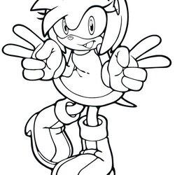 Amy Sonic Coloring Pages At Free Printable Rose Boom Classic Para Color Template Print Drawing