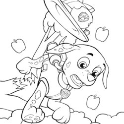 Brilliant Paw Patrol Marshall Coloring Page Print