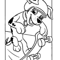 Exceptional Marshall Paw Patrol Coloring Book Page Pages File Show Me