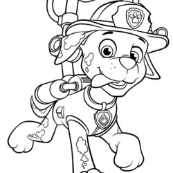 Paw Patrol Coloring Pages Marshall And Firetruck Home
