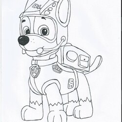 Sublime Paw Patrol Coloring Page Marshall Home