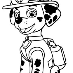 Splendid Marshall Paw Patrol Coloring Page Pages Print Drawing Printable Kids Colouring Color Drawings