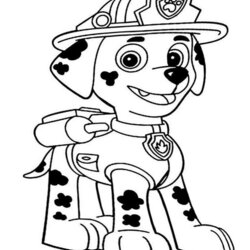 Swell Image Result For Paw Patrol Marshall Coloring Page Pages Printable Kids Print Puppy Drawing Book